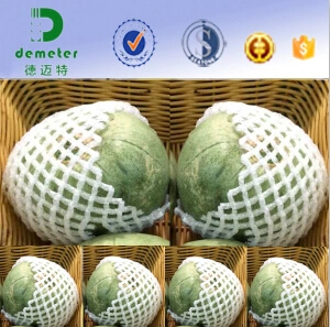 New Product Fresh Fruit Mesh Protect Tubular Bottles Net