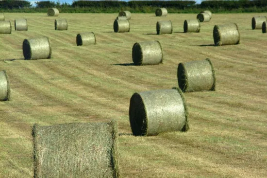 50 cm großes HDPE-Wickelnetz für Rundballen