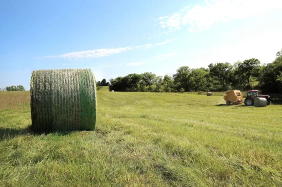 100 % reines HDPE, hochwertiges, rundes, biologisch abbaubares Ballennetz, rund, 50 cm, Kunststoff, für Heuballen